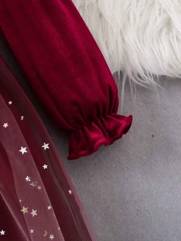 Toddler Girls Burgundy Velvet Sparkling Dress