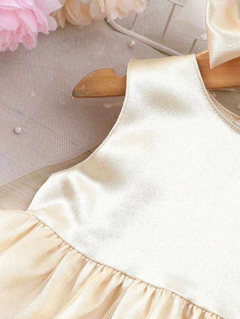 Baby Palace Embroidery Mesh Dress