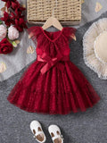 Baby Burgundy Polka Dot Mesh Dress