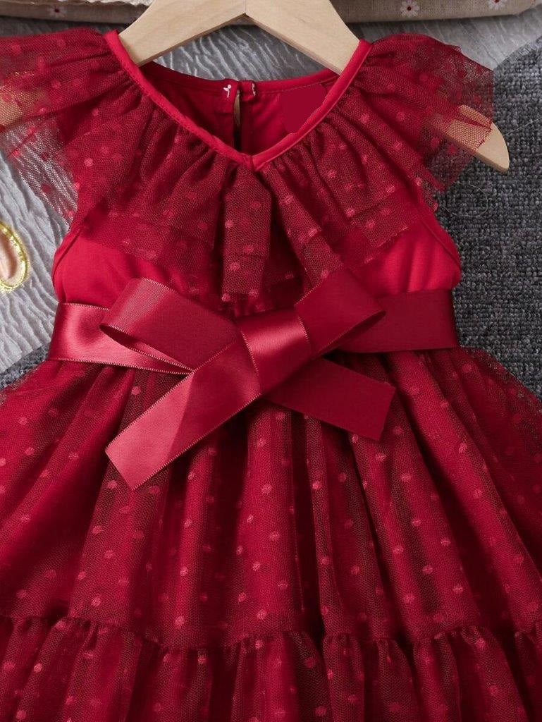 Baby Burgundy Polka Dot Mesh Dress