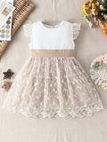 Baby Ruffle Sleeve Lace Flared Dress
