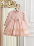Baby 2 Layered Lace Trim Tulle Dress