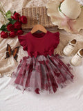 Baby Burgundy Butterfly Mesh Dress