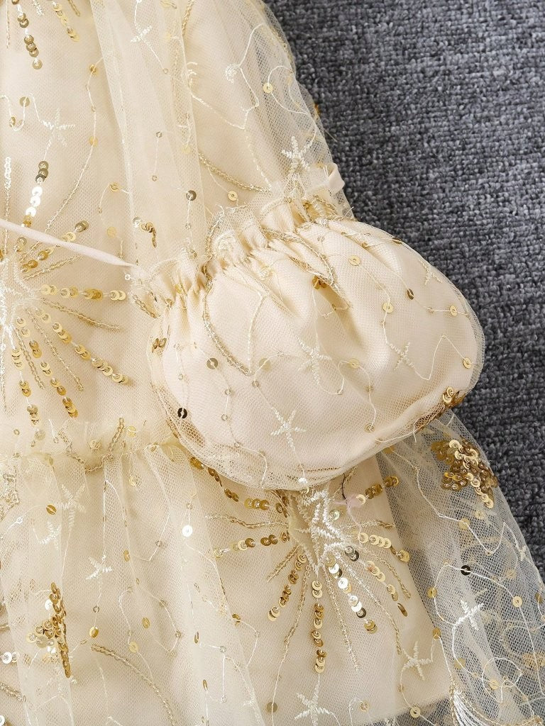 Toddler Girls Gold Beaded Embroidery Dress With Bag
