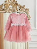 Baby Velvet Flower Waist Mesh Dress