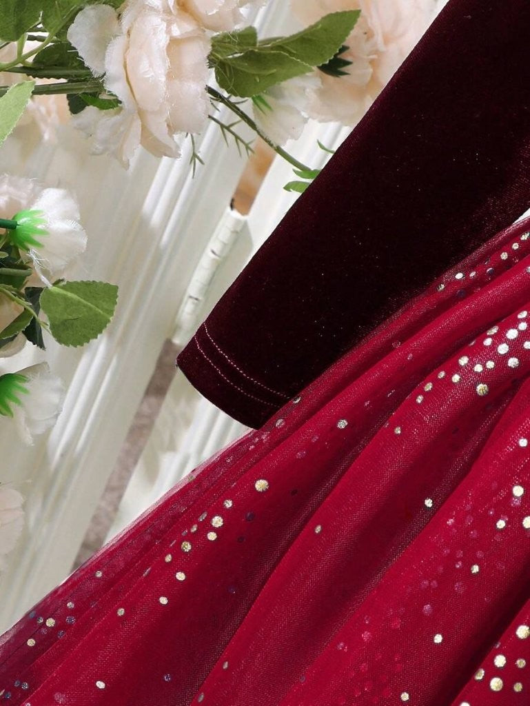Toddler Girls Burgundy Sparkle Velvet Dress With Headband