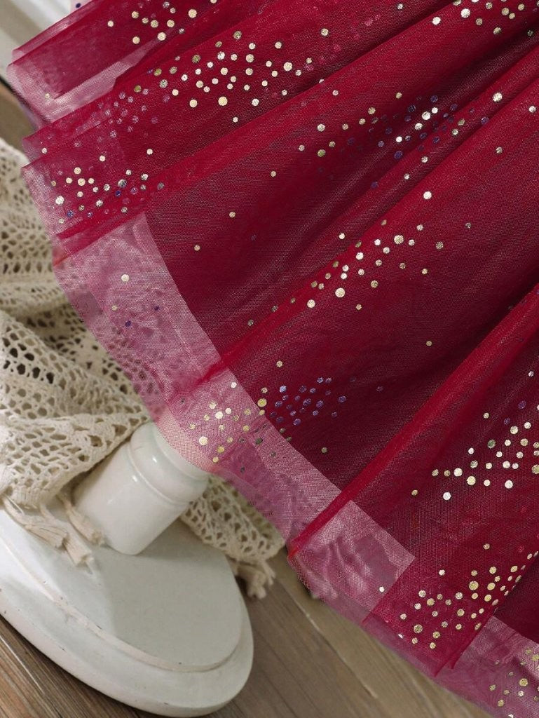 Toddler Girls Burgundy Sparkle Velvet Dress With Headband