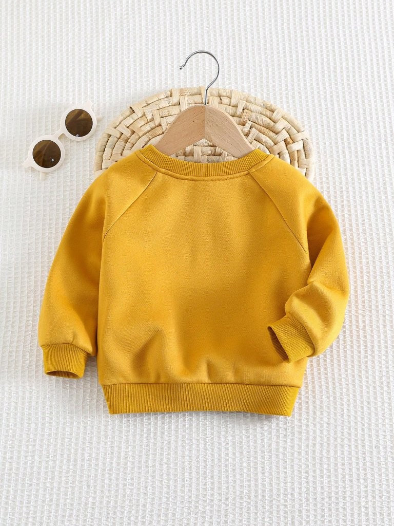 Baby Lion Character 3D Ear Pullover