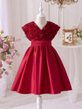 Toddler Girls 3D Rose Pattern V Neck Dress Burgundy