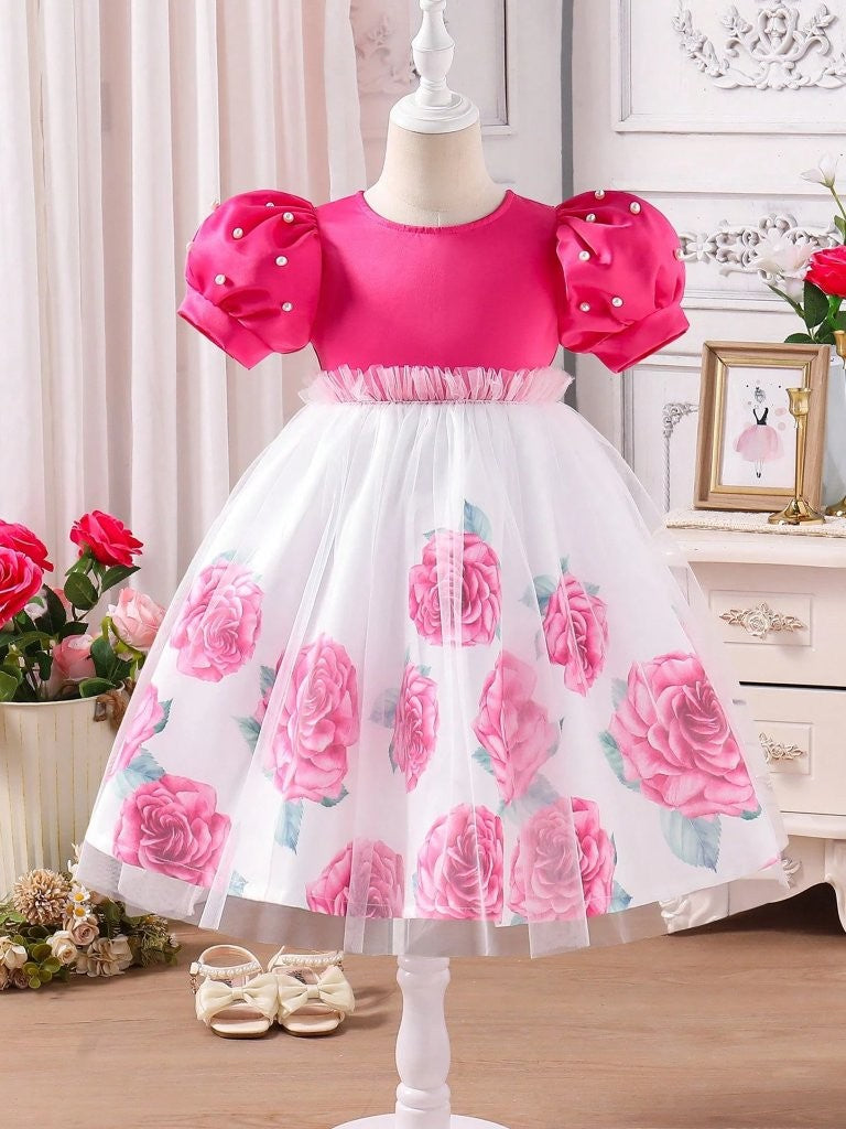 Toddler Girls Rose Print Tulle Princess Dress