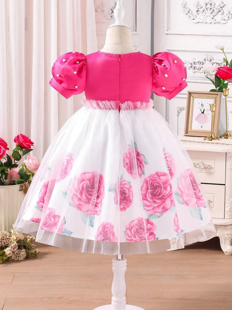 Toddler Girls Rose Print Tulle Princess Dress