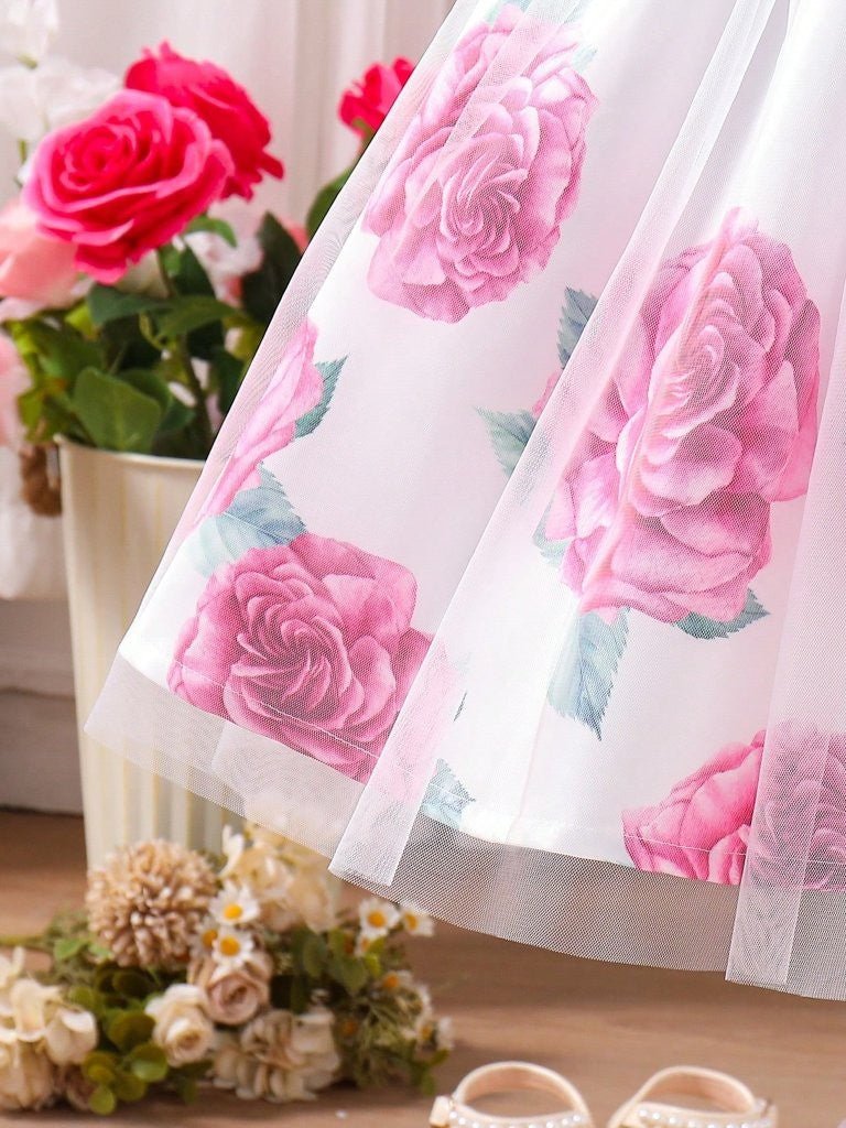 Toddler Girls Rose Print Tulle Princess Dress