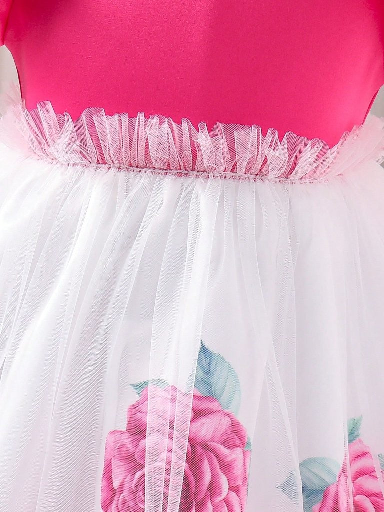 Toddler Girls Rose Print Tulle Princess Dress