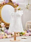 Baby Elegant Detachable Shoulder Bows Dress