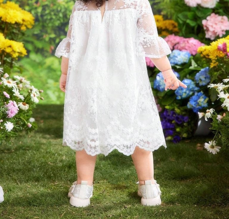 Baby White Ruffle Sleeve Lace Dress