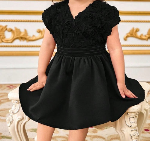 Baby 3D Rose Pattern V Neck Dress Black