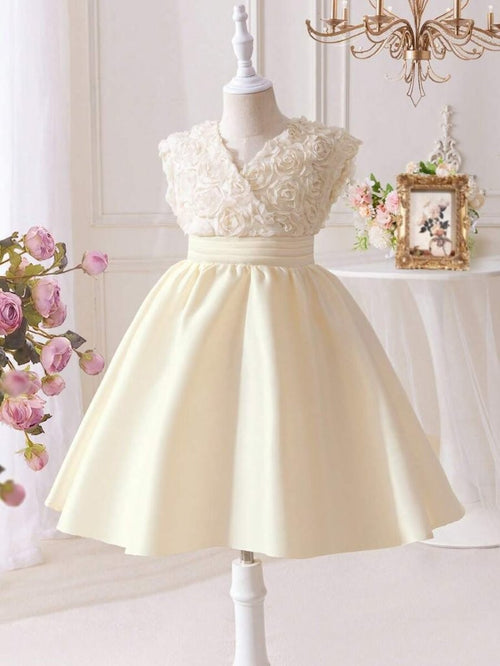 Toddler Girls 3D Rose Pattern V Neck Dress Apricot