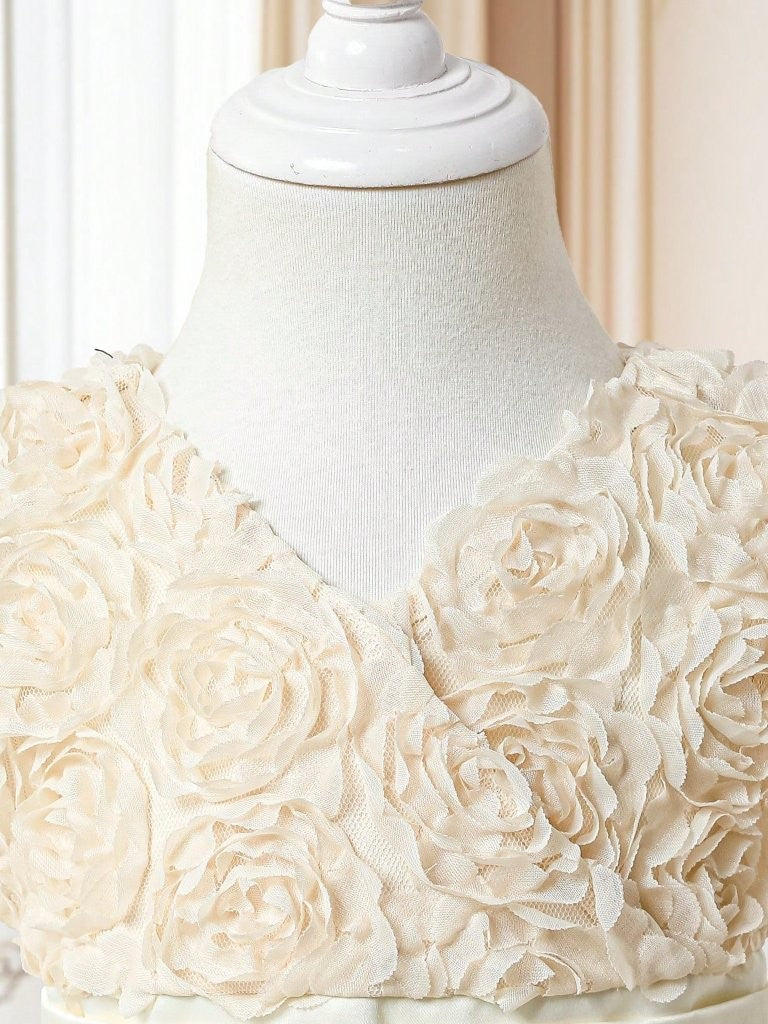 Baby 3D Rose Pattern V Neck Dress Apricot
