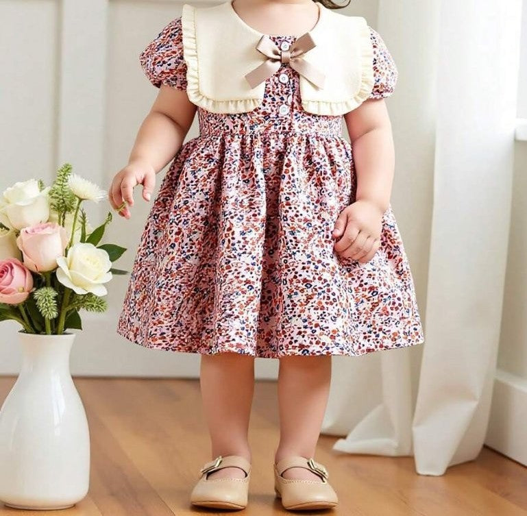 Baby Delicate Big Collar Floral Dress