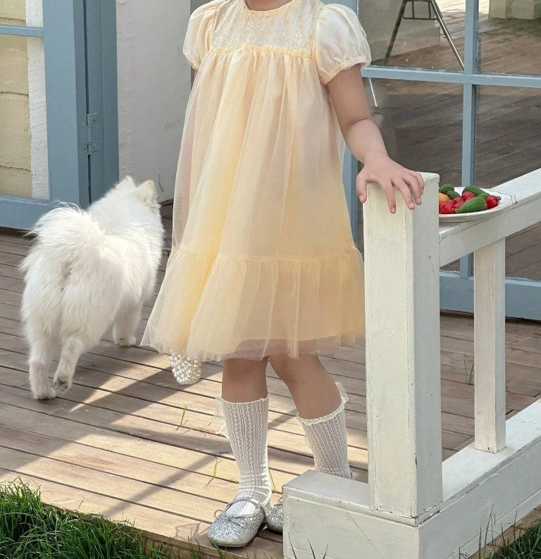 Toddler Girls Short Sleeve Princess Dress