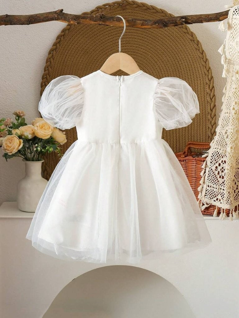 Baby Vintage Lace Tulle Puff Sleeve Dress