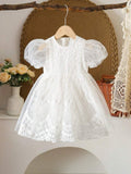 Baby Vintage Lace Tulle Puff Sleeve Dress
