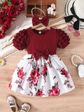 Baby Floral Print Puff Sleeve Burgundy Dress