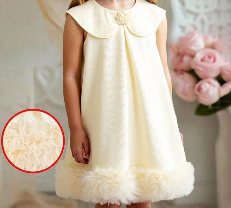Toddler Girls Elegant Ivory Mesh Trim Dress