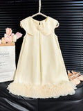 Toddler Girls Elegant Ivory Mesh Trim Dress