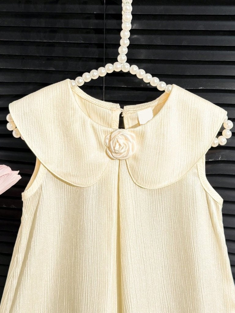 Toddler Girls Elegant Ivory Mesh Trim Dress