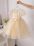 Toddler Girls Elegant Satin Fabric Sequin Dress