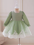 Baby Green Glamorous Lace Pattern Dress