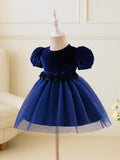 Baby Navy Blue Velvet Flower Waist Tulle Dress