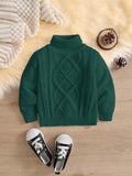 Baby High Neck Textured Knitted Pullover Green