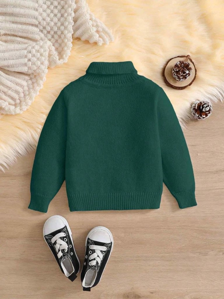 Baby High Neck Textured Knitted Pullover Green