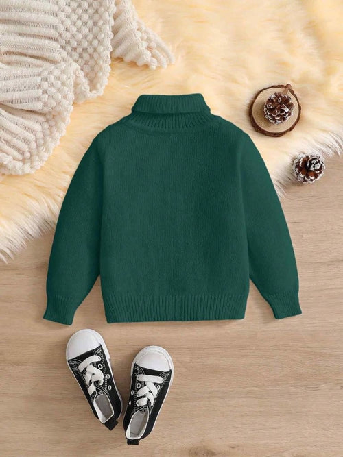 Baby High Neck Textured Knitted Pullover Green