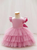 Baby Glamorous Elegant Pink Mesh Layered Dress