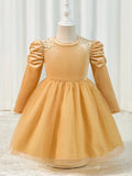 Toddler Girls Champagne Puff Sleeve Tulle Dress