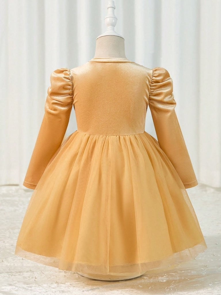 Toddler Girls Champagne Puff Sleeve Tulle Dress