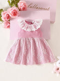 Baby Hot Pink Floral Lace Collar Dress