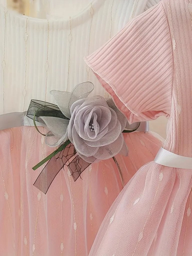 Baby Delicate Soft Pink And White Mesh Dress