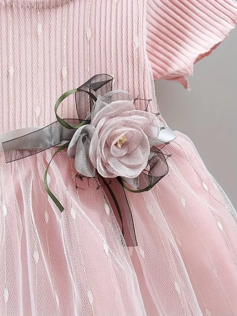 Baby Delicate Soft Pink Mesh Dress