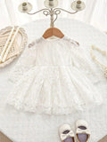 Baby Elegant Embroidery Flower Pattern Dress