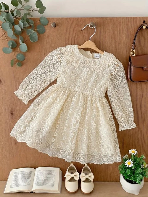 Baby Delicate Pattern Lace Princess Dress