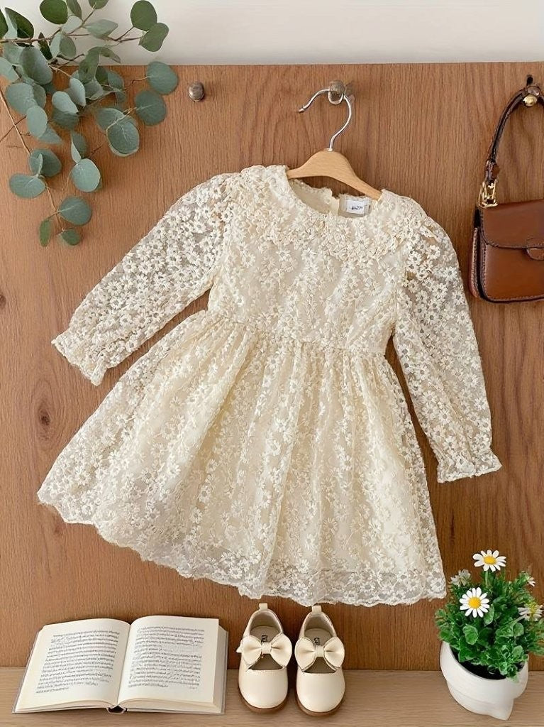 Baby Delicate Pattern Lace Princess Dress