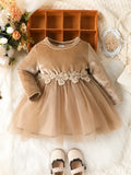 Baby Front Flower Pattern Velvet Mesh Dress