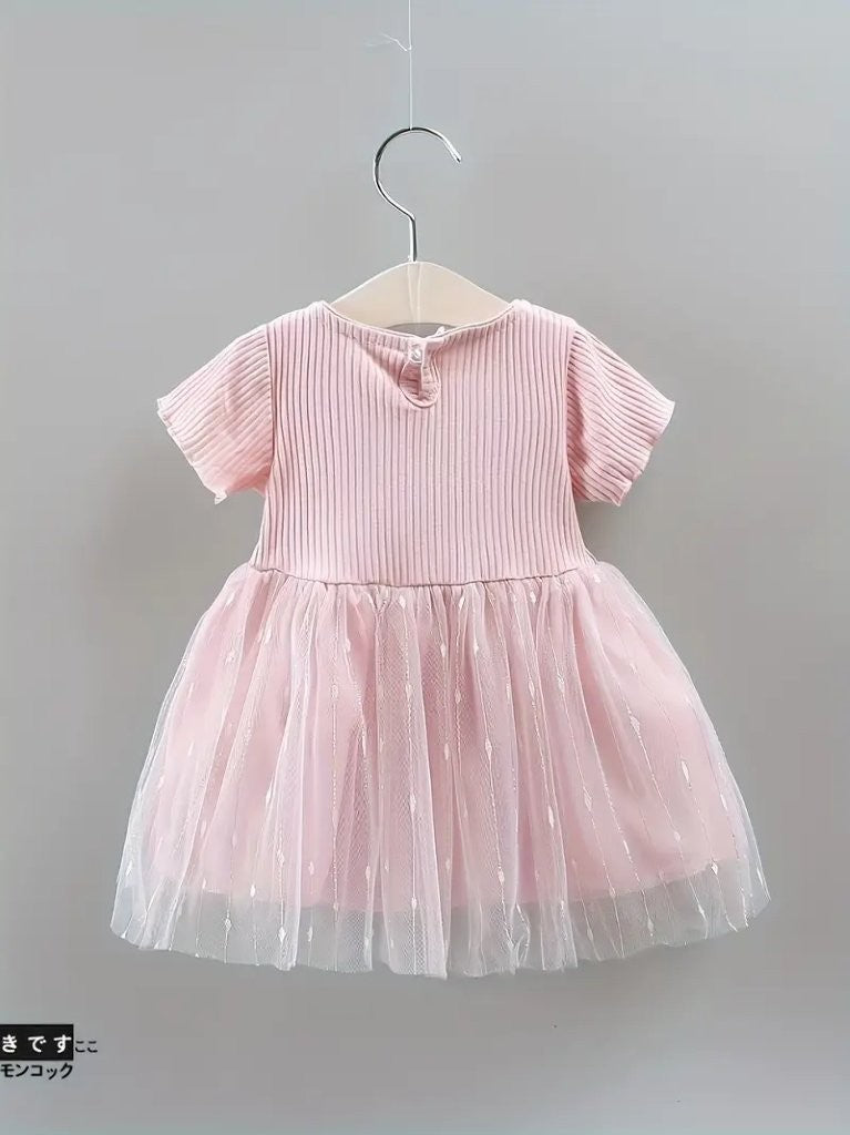 Baby Delicate Soft Pink Mesh Dress