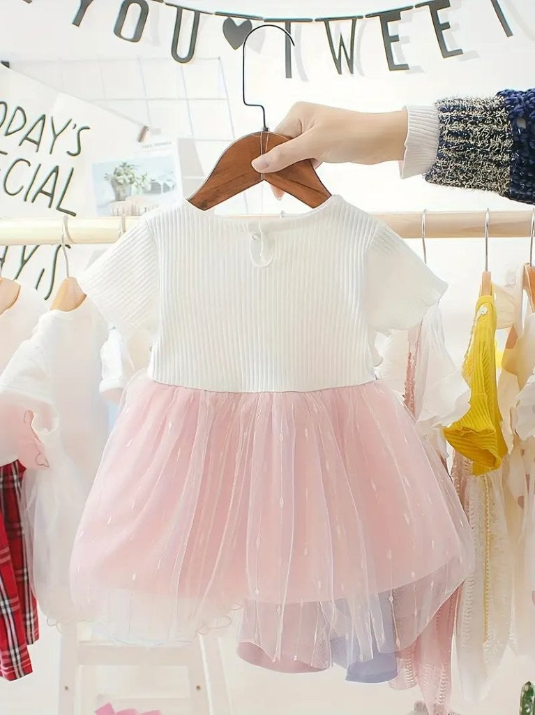 Baby Delicate Soft Pink And White Mesh Dress