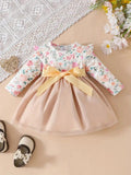 Baby Floral Print Ruffle Sleeve Mesh Dress