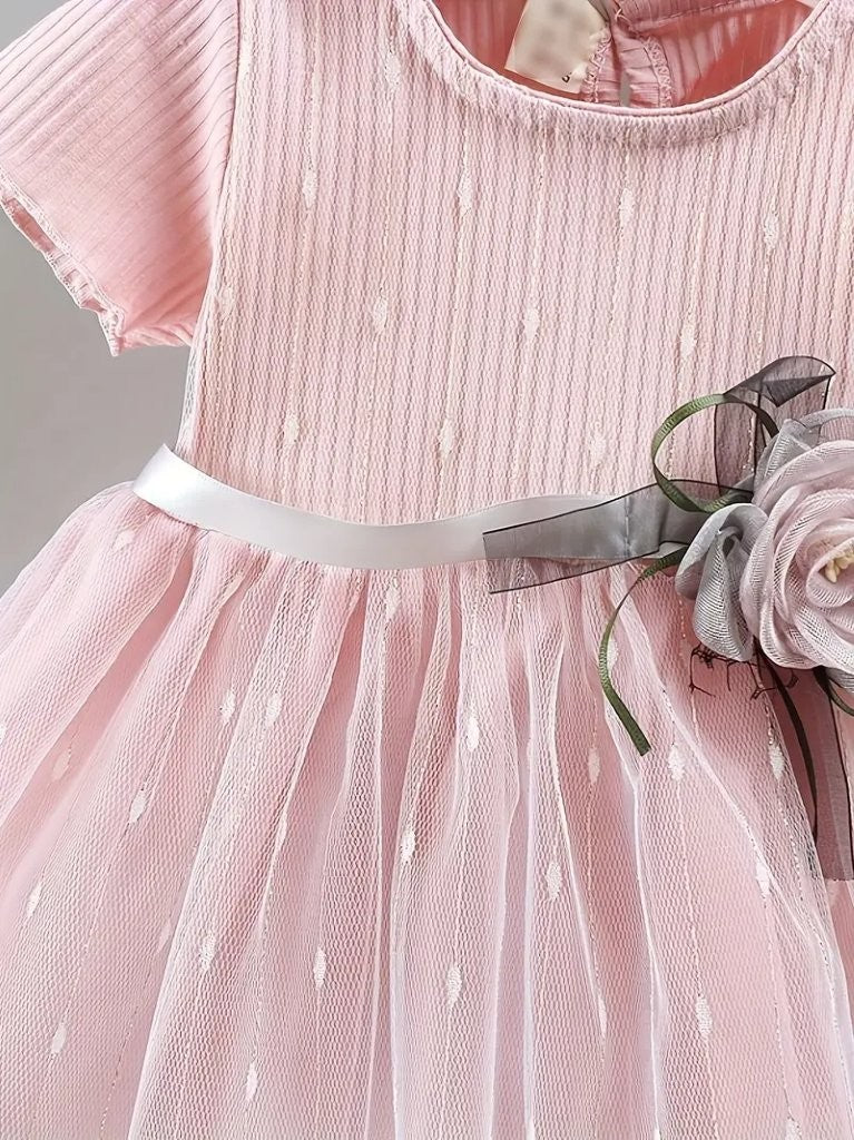 Baby Delicate Soft Pink Mesh Dress